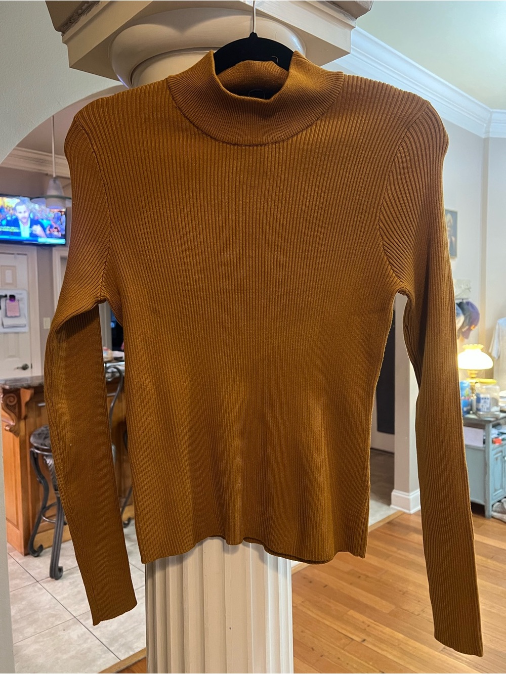 Women's Ribbed Mock Neck Top in Rust